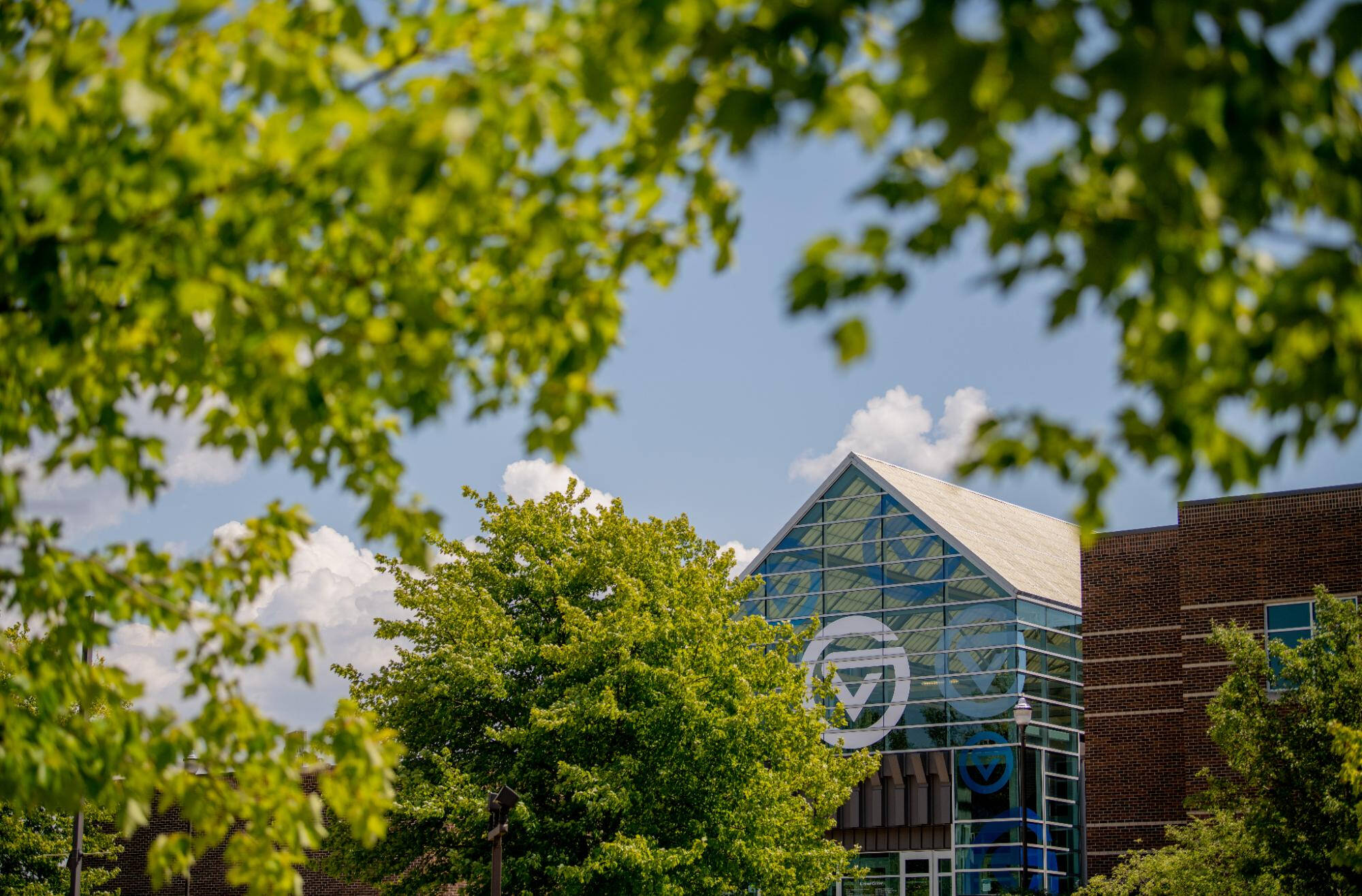 Kirkhof through Trees